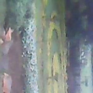 Meet your Posher, Cecile